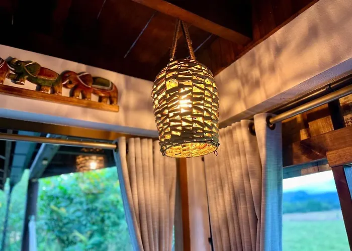 Cabana Flamboyant